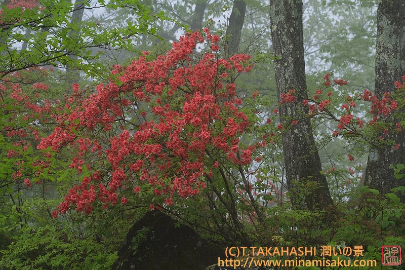 ../Images/7R250517 (97).jpg